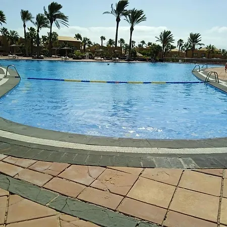 Blu Papagayo *