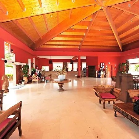 Blu Papagayo *