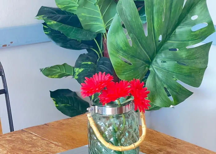 Appartement Blu Papagayo